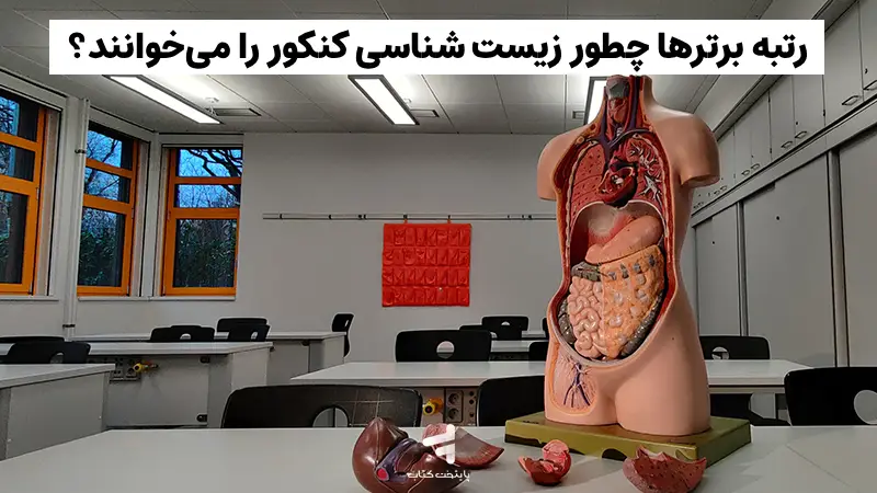 رتبه برترها چطور زیست شناسی کنکور را می‌خوانند؟