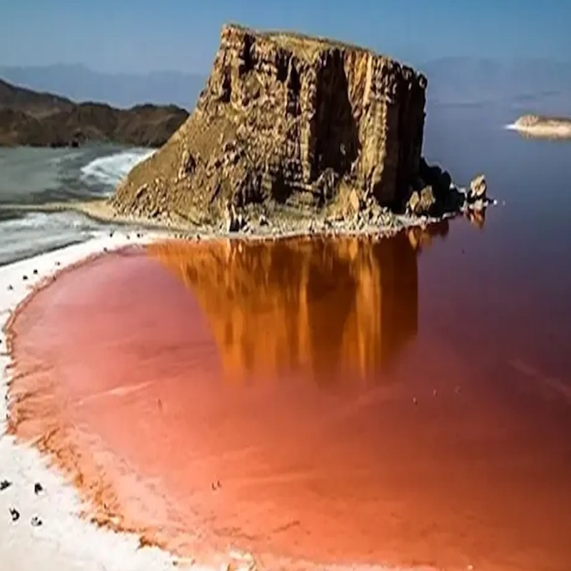 بهترین مشاور تحصیلی در ارومیه | مشاور کنکور ارومیه