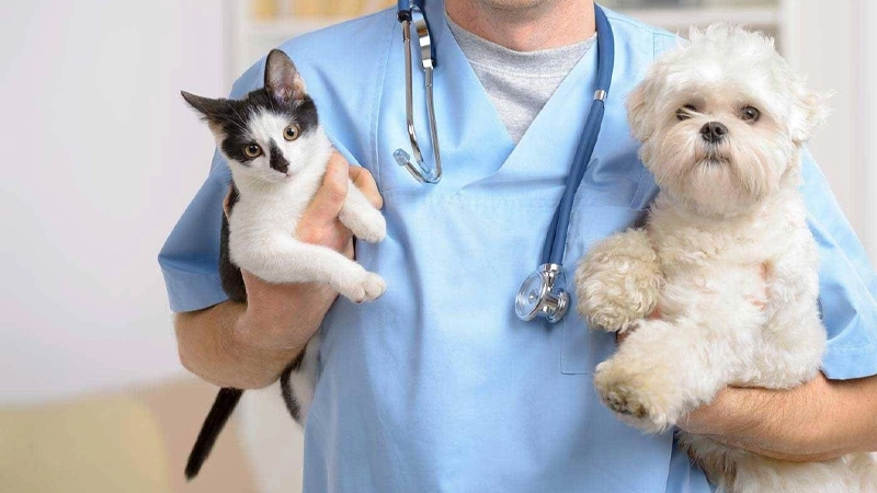 Medical field5