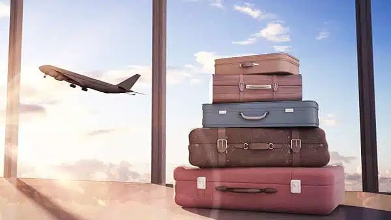 بهترین رشته ها برای مهاجرت